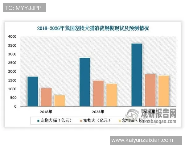 2026年3月份新闻北京羽毛球队运营分析成功经验与面临挑战的深度探讨